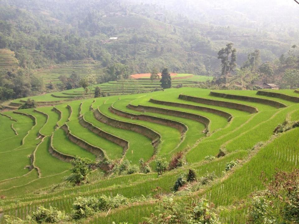 Ngan Nga Bac Ha Hotel المظهر الخارجي الصورة